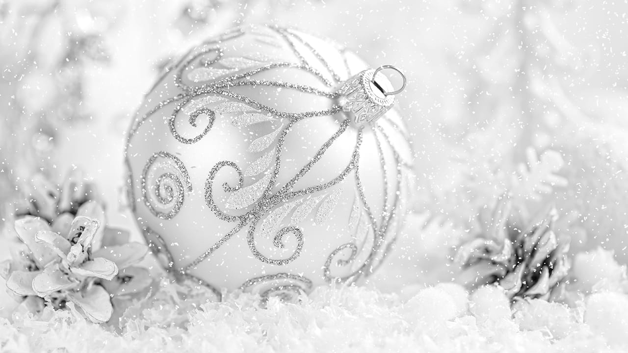 All white Christmas decoration outdoor scene with snow and pine cones.
