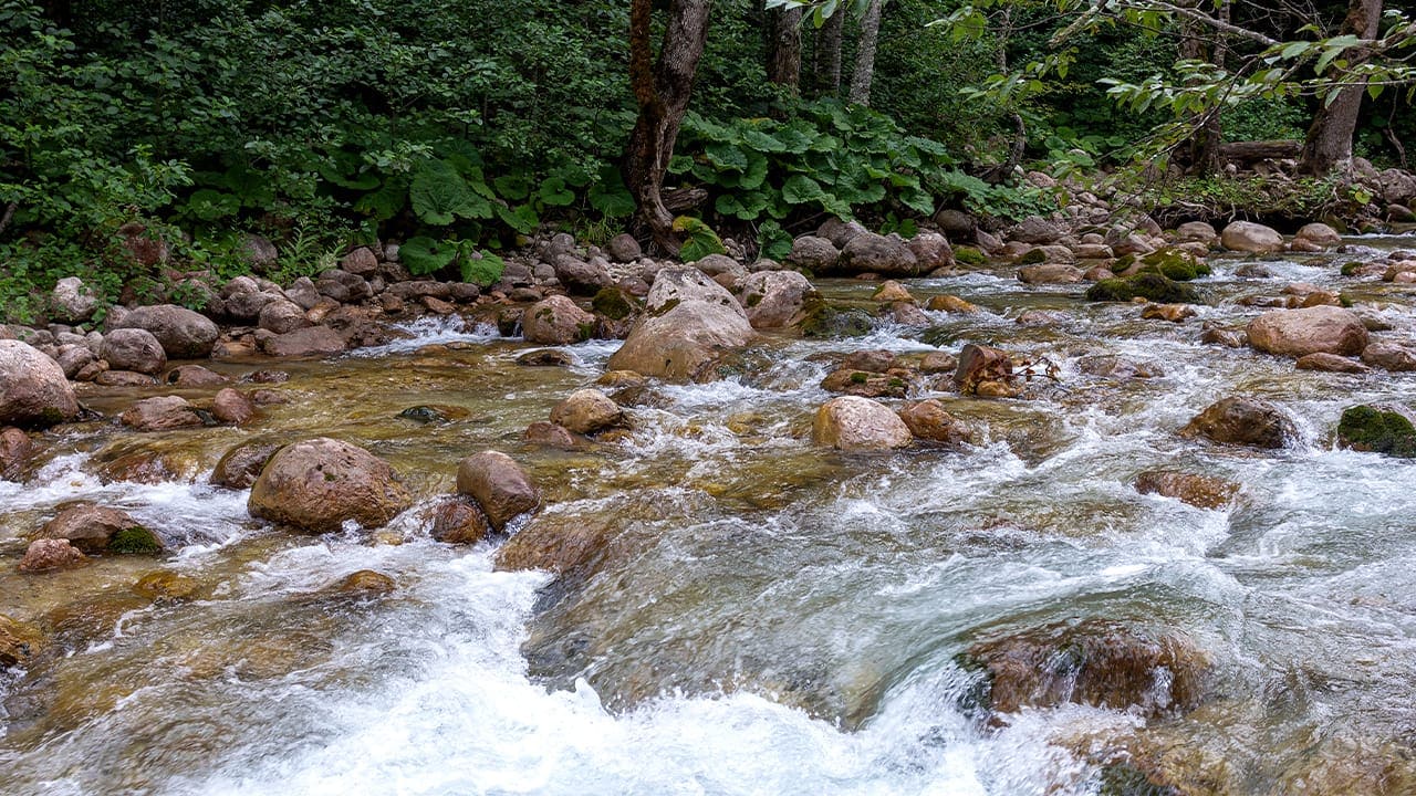 Clean flowing New Jersey river. Image produced by More Jersey.