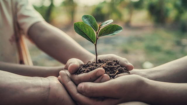 Close-up of multiple residents holding a small tree for planting.