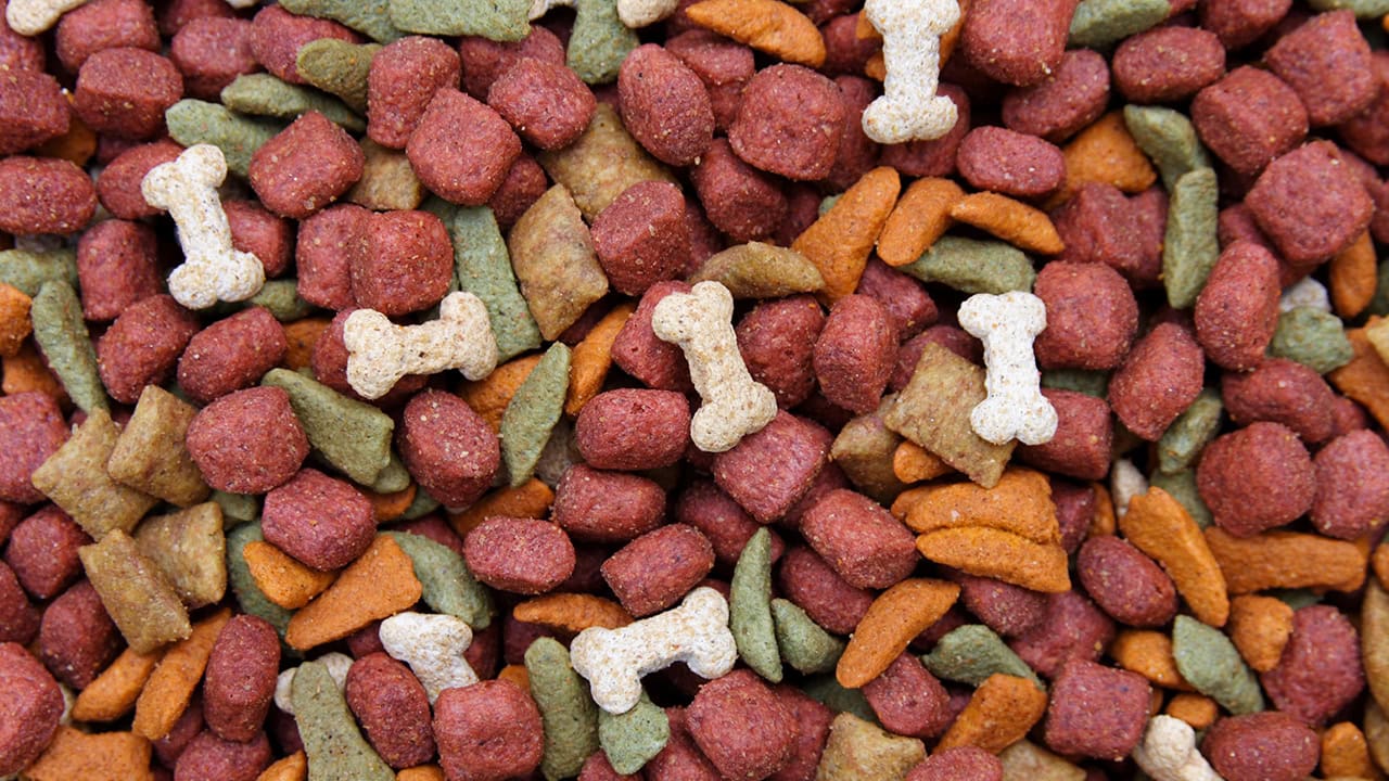 Dry dog food. Image produced by More Jersey.