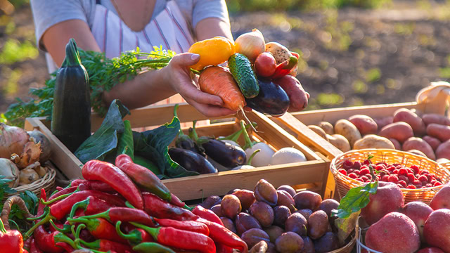 Female farmer grabbing fresh fruits and vegetables at a New Jersey farmer's market.