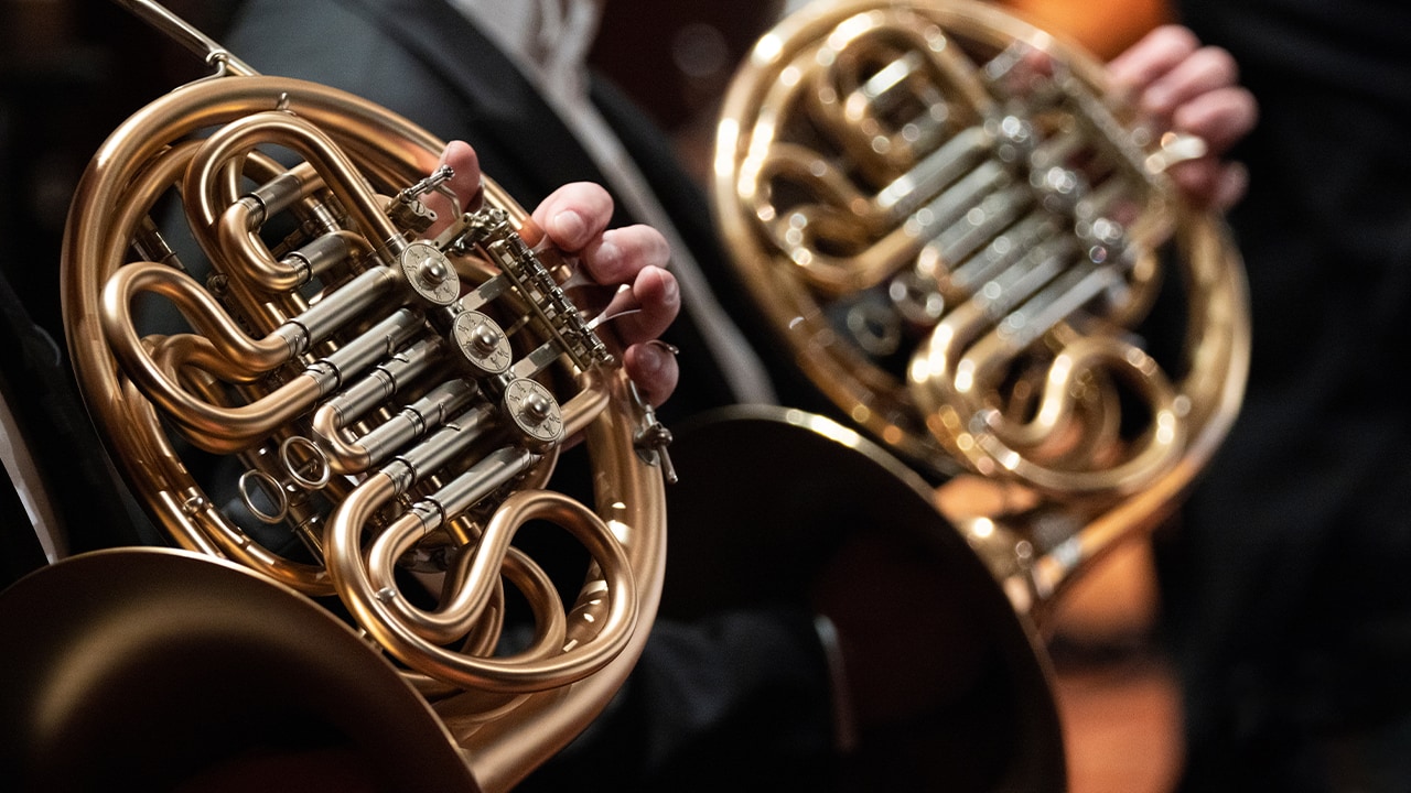 French horn players during a classical symphony orchestra.