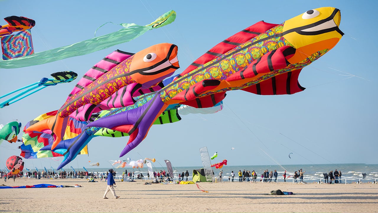 Giant sized kites at New Jersey kite festival.