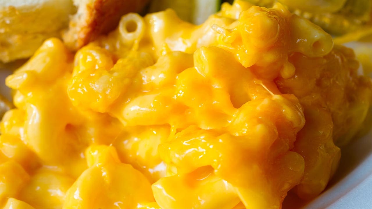 Mac and cheese on plate from New Jersey food vendor. Image produced by More Jersey.