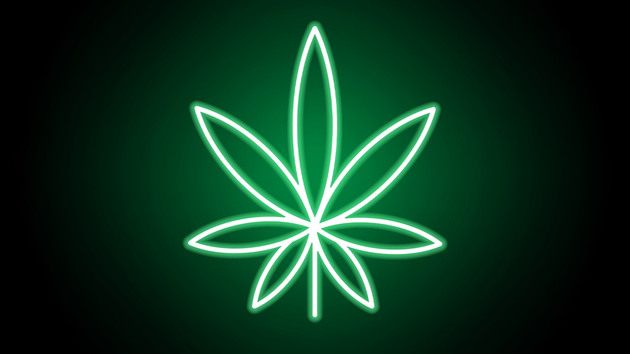 Neon green cannabis marijuana leaf sign.