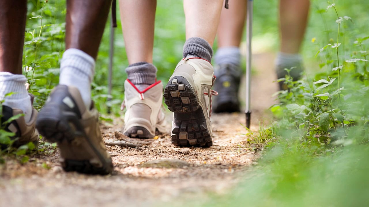 Rear view of diverse group of residents hiking at New Jersey state park. Image produced by More Jersey.