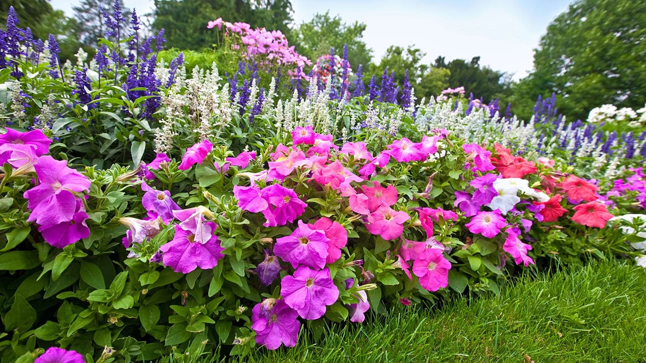 Scenic photo of colorful flowers from NJ garden tour. Image produced by More Jersey.