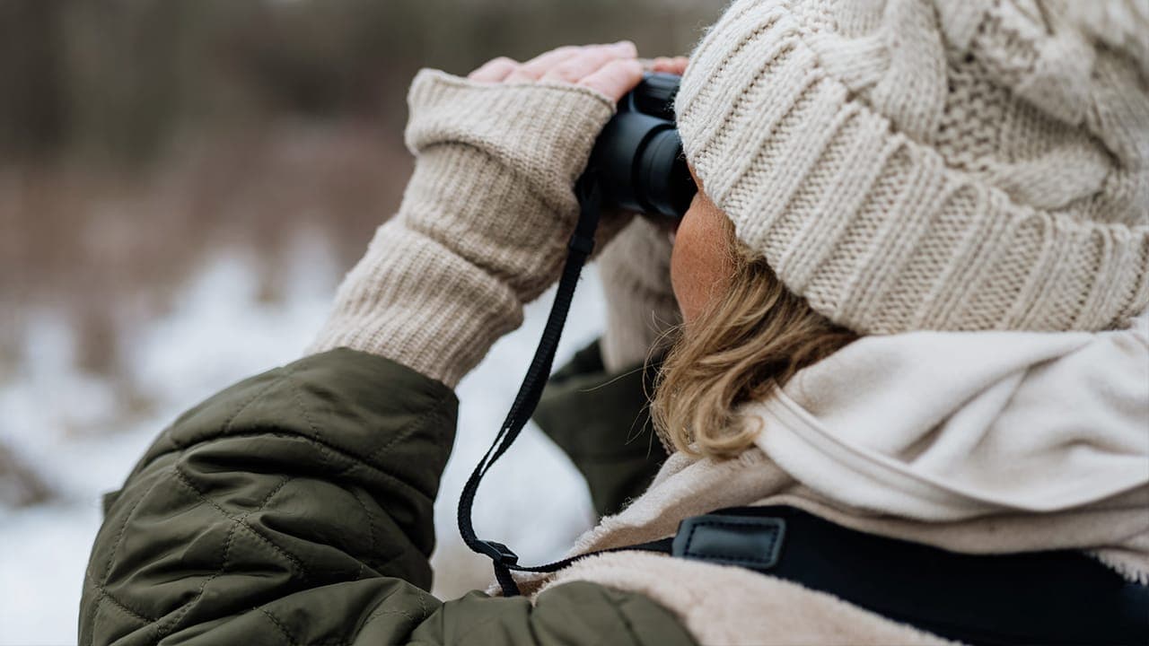 Woman dressed in winter clothes watching local New Jersey birds and animals through binoculars.