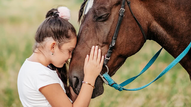 Young girl caressing horse's head at New Jersey horse ranch.